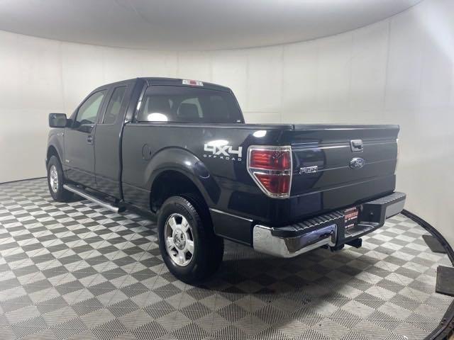 2014 Ford F-150 Vehicle Photo in MEDINA, OH 44256-9001