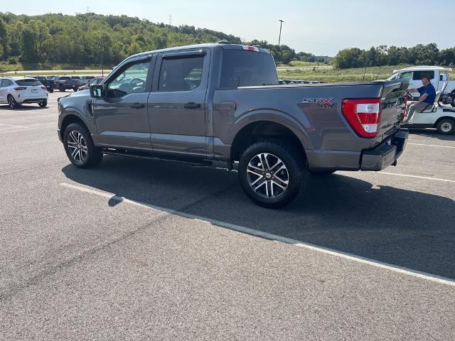 2023 Ford F-150 Vehicle Photo in Jackson, OH 45640-9766