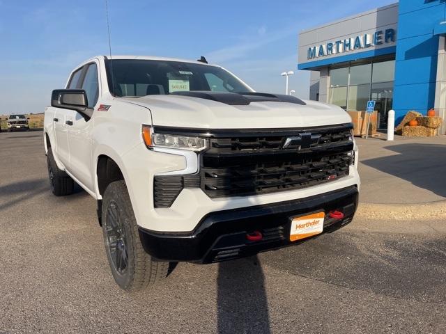 2025 Chevrolet Silverado 1500 Vehicle Photo in GLENWOOD, MN 56334-1123