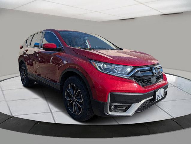 2022 Honda CR-V Vehicle Photo in Greeley, CO 80634-8763