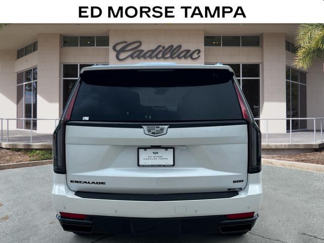 2024 Cadillac Escalade Vehicle Photo in TAMPA, FL 33612-3404