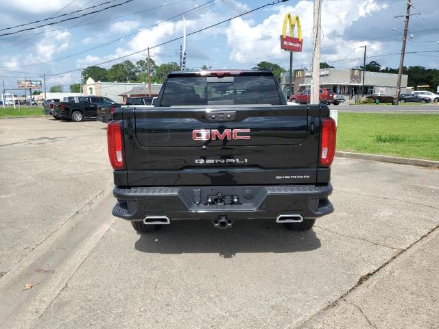 2024 GMC Sierra 1500 Vehicle Photo in LAFAYETTE, LA 70503-4541