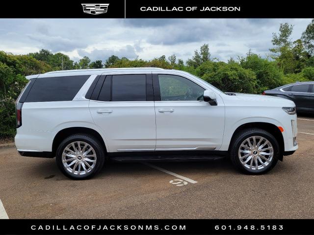 2024 Cadillac Escalade Vehicle Photo in RIDGELAND, MS 39157-4406