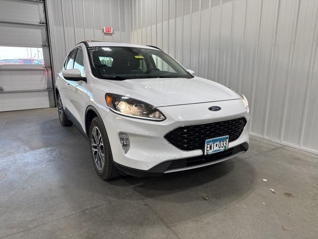 2020 Ford Escape Vehicle Photo in GLENWOOD, MN 56334-1123