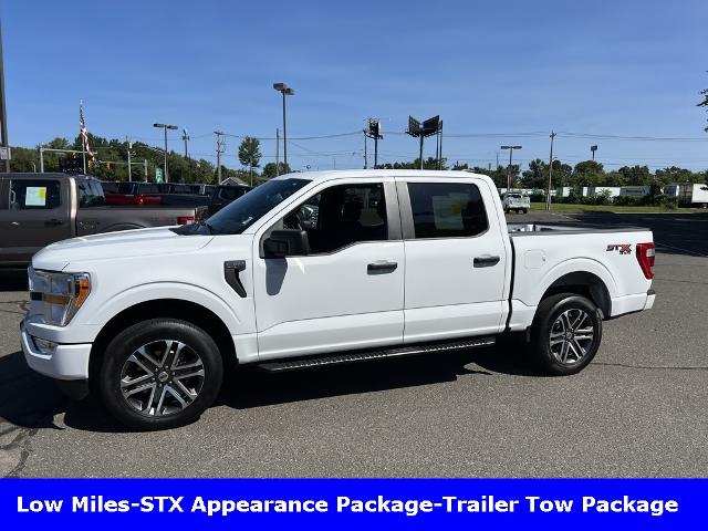 2021 Ford F-150 Vehicle Photo in CHICOPEE, MA 01020-5001