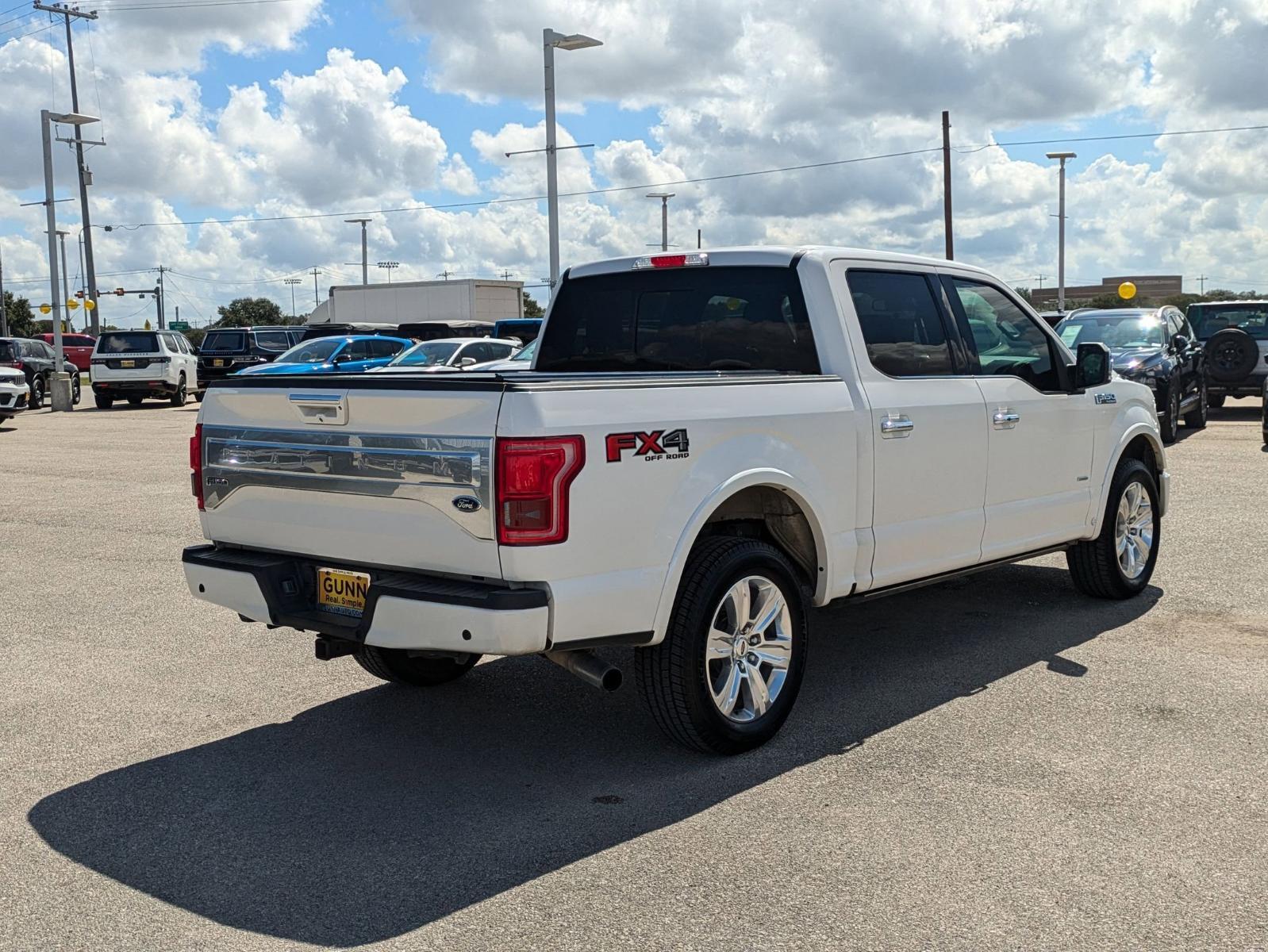 2015 Ford F-150 Vehicle Photo in Seguin, TX 78155