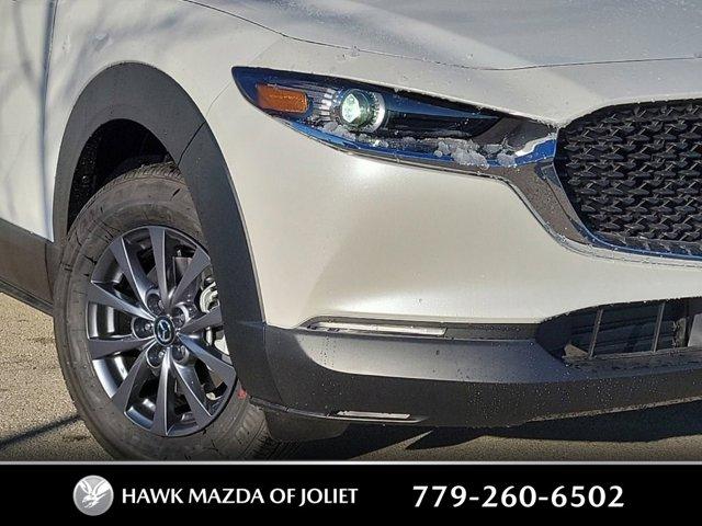 2024 Mazda CX-30 Vehicle Photo in Plainfield, IL 60586