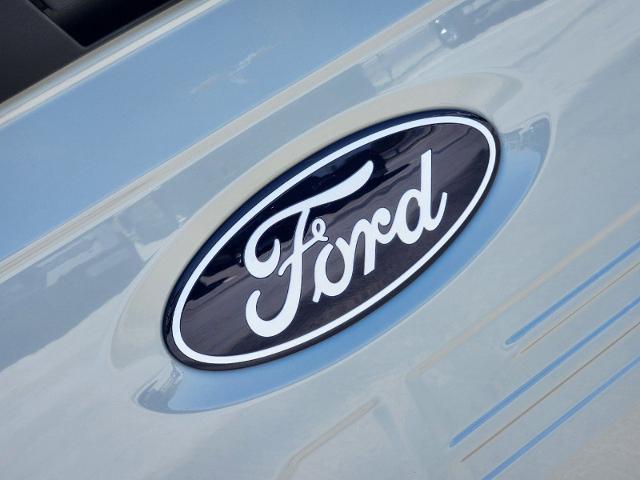 2024 Ford F-150 Vehicle Photo in STEPHENVILLE, TX 76401-3713