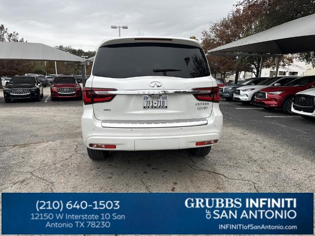 2024 INFINITI QX80 Vehicle Photo in San Antonio, TX 78230