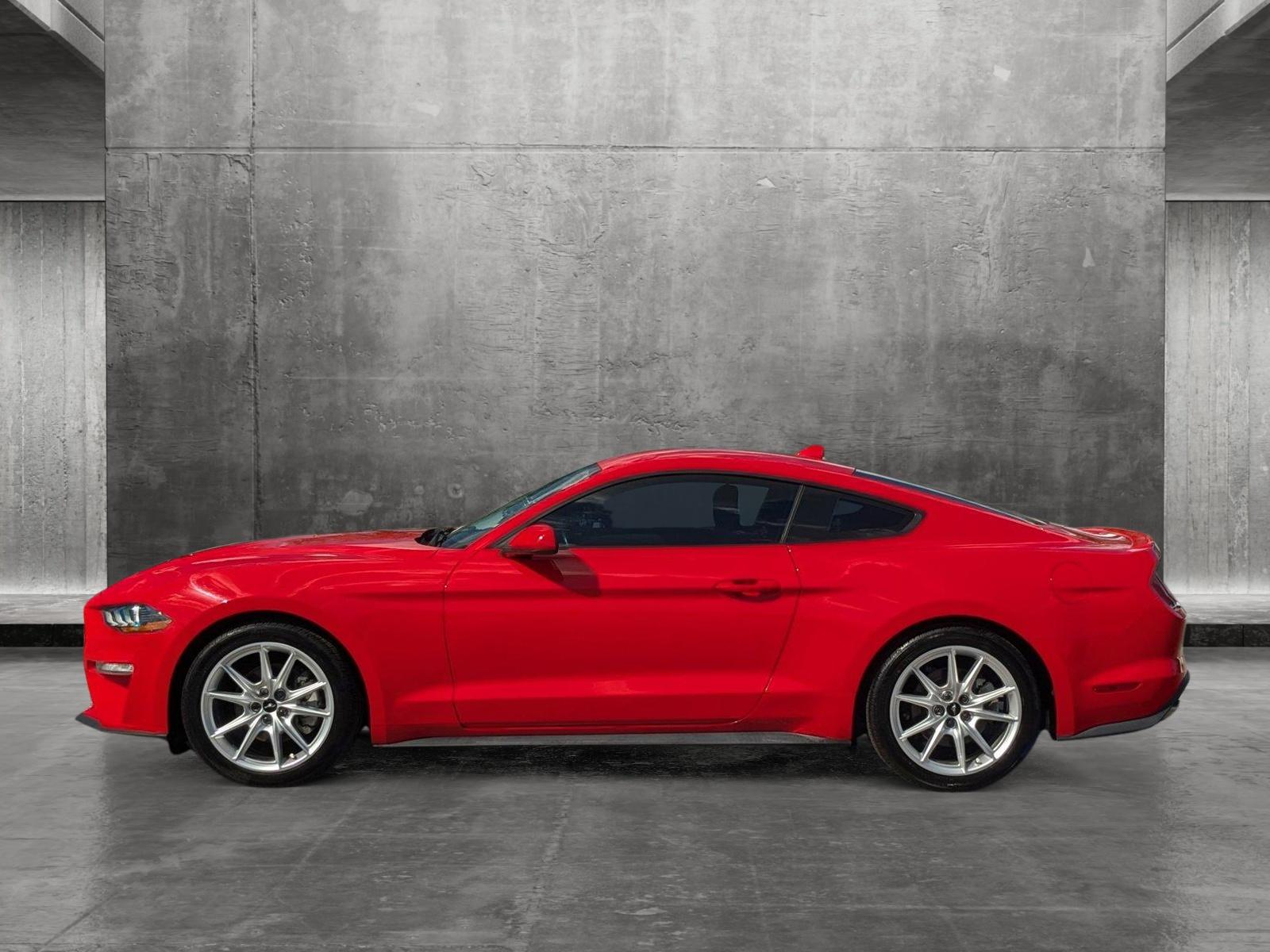 2020 Ford Mustang Vehicle Photo in St. Petersburg, FL 33713