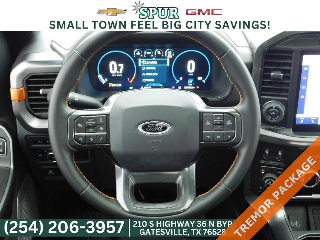 2023 Ford F-150 Vehicle Photo in GATESVILLE, TX 76528-2745