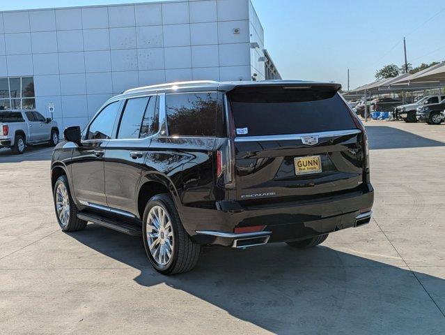 2022 Cadillac Escalade Vehicle Photo in SELMA, TX 78154-1459