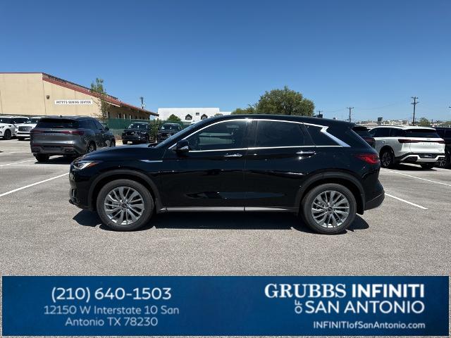 2024 INFINITI QX50 Vehicle Photo in San Antonio, TX 78230