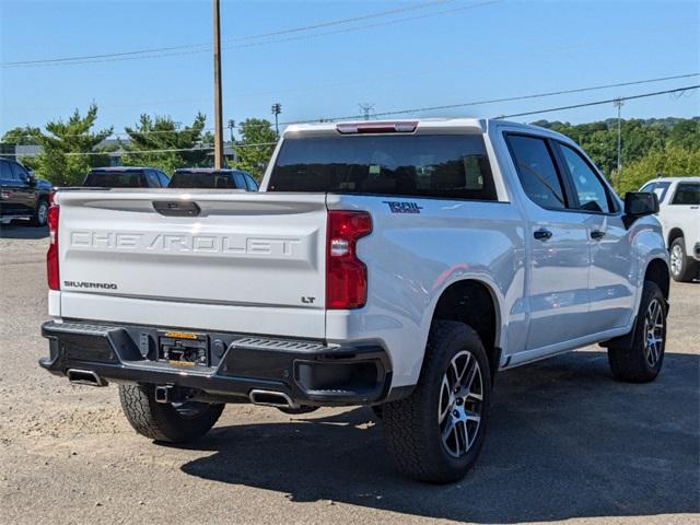 2019 Chevrolet Silverado 1500 Vehicle Photo in MILFORD, OH 45150-1684