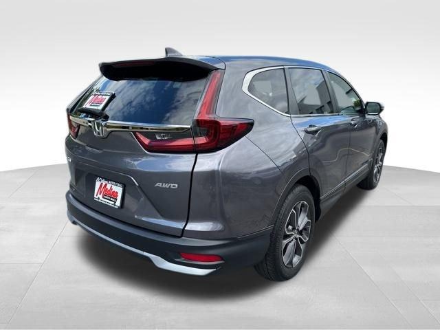 2022 Honda CR-V Vehicle Photo in MEDINA, OH 44256-9631