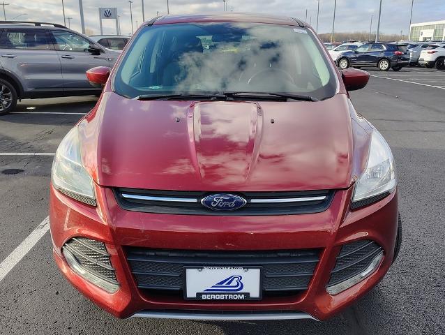 2016 Ford Escape Vehicle Photo in GREEN BAY, WI 54304-5303