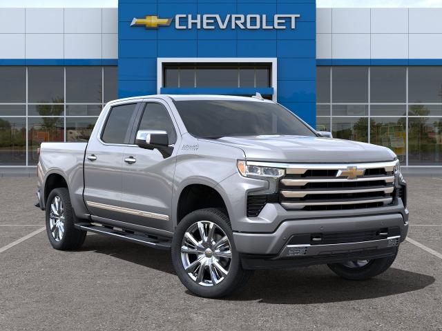 2024 Chevrolet Silverado 1500 Vehicle Photo in STEWARTVILLE, MN 55976-1393