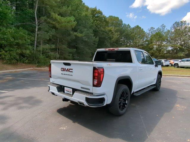 2025 GMC Sierra 1500 Vehicle Photo in ALBERTVILLE, AL 35950-0246