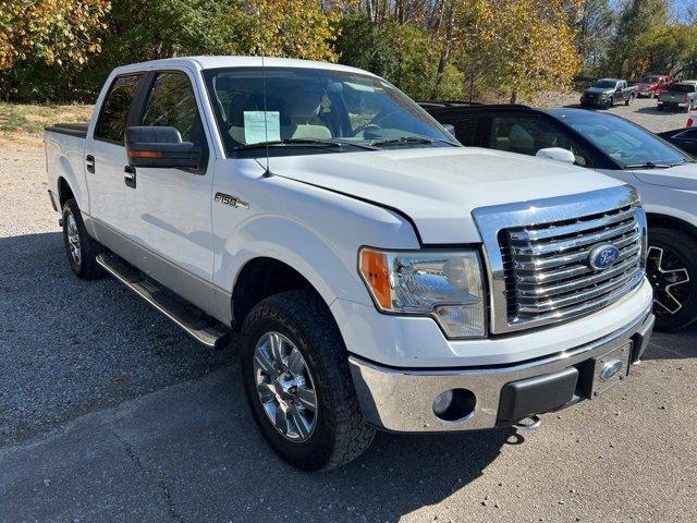 2010 Ford F-150 Vehicle Photo in MILFORD, OH 45150-1684