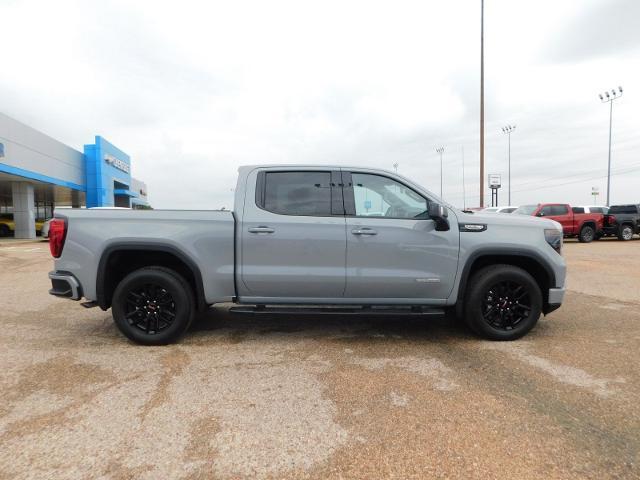 2024 GMC Sierra 1500 Vehicle Photo in GATESVILLE, TX 76528-2745