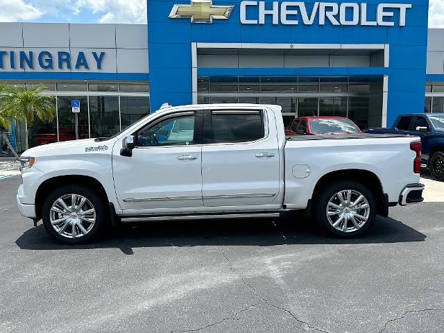 2023 Chevrolet Silverado 1500 Vehicle Photo in BARTOW, FL 33830-4397