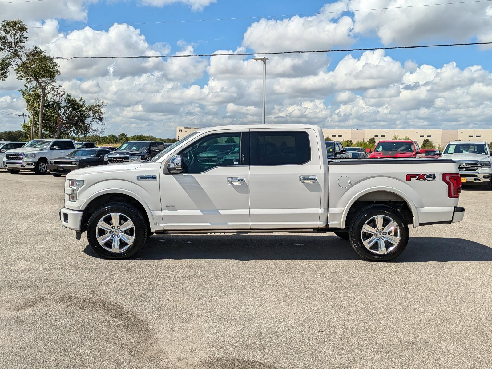 2015 Ford F-150 Vehicle Photo in Seguin, TX 78155