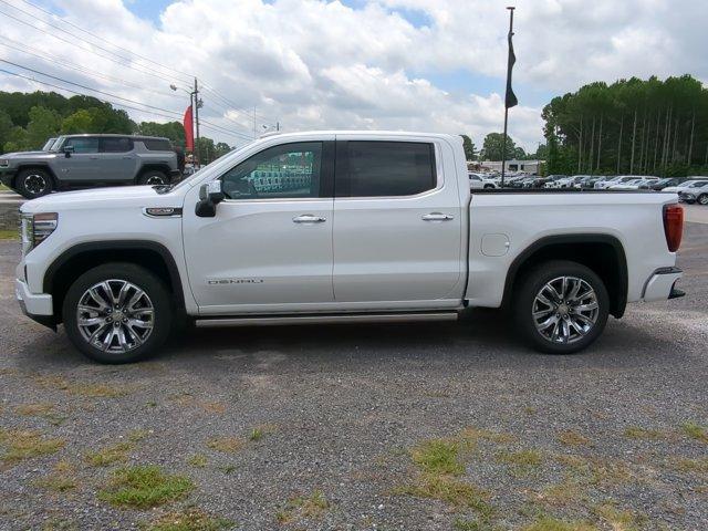 2024 GMC Sierra 1500 Vehicle Photo in ALBERTVILLE, AL 35950-0246