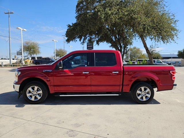 2019 Ford F-150 Vehicle Photo in SELMA, TX 78154-1459