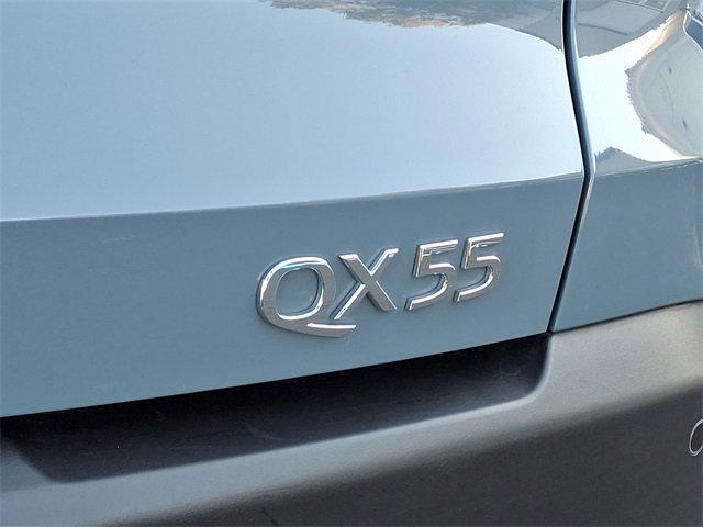 2024 INFINITI QX55 Vehicle Photo in Willow Grove, PA 19090