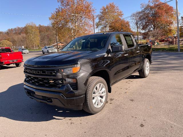 2024 Chevrolet Silverado 1500 Vehicle Photo in THOMPSONTOWN, PA 17094-9014