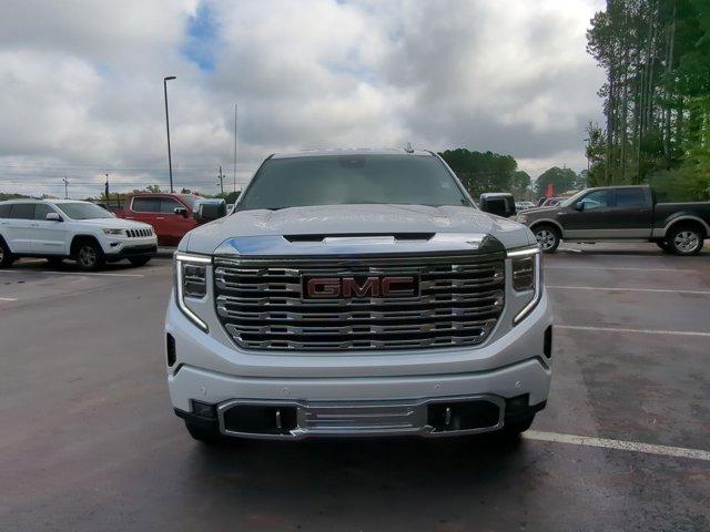 2025 GMC Sierra 1500 Vehicle Photo in ALBERTVILLE, AL 35950-0246