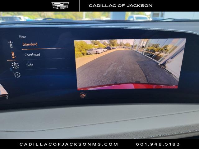 2025 Cadillac XT4 Vehicle Photo in RIDGELAND, MS 39157-4406