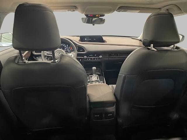 2021 Mazda CX-30 Vehicle Photo in Green Bay, WI 54304