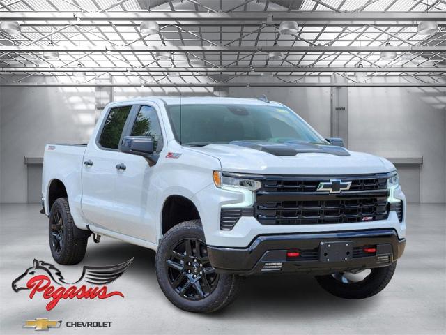 2024 Chevrolet Silverado 1500 Vehicle Photo in Weatherford, TX 76087