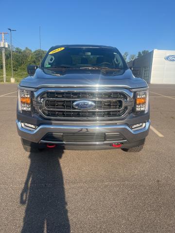 2023 Ford F-150 Vehicle Photo in Jackson, OH 45640-9766