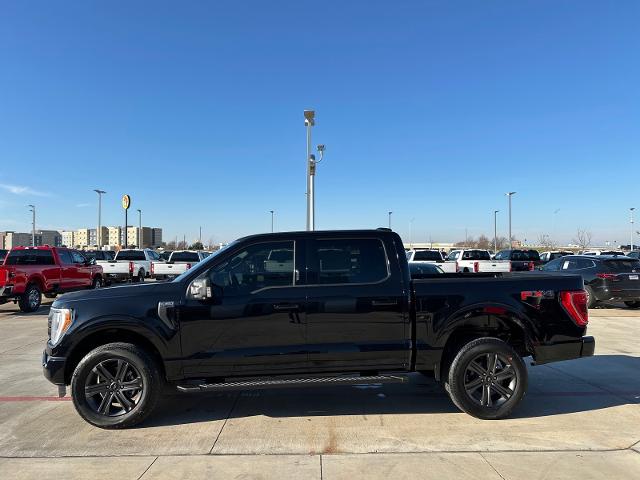 2023 Ford F-150 Vehicle Photo in Terrell, TX 75160