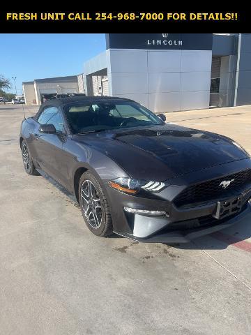 2022 Ford Mustang Vehicle Photo in STEPHENVILLE, TX 76401-3713