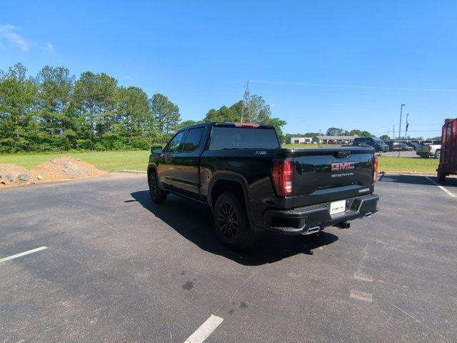 2024 GMC Sierra 1500 Vehicle Photo in ALBERTVILLE, AL 35950-0246