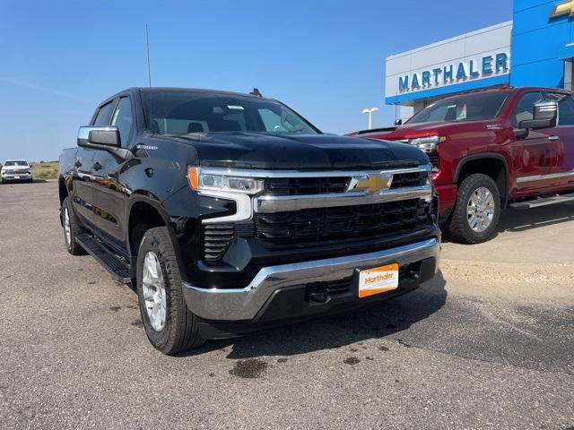 2024 Chevrolet Silverado 1500 Vehicle Photo in GLENWOOD, MN 56334-1123