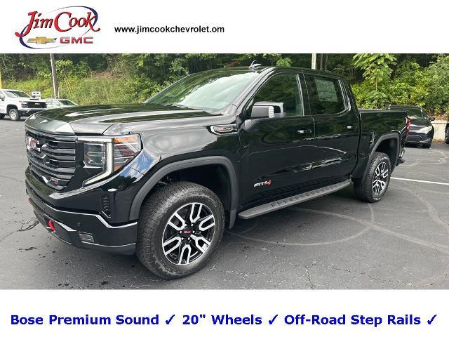 2024 GMC Sierra 1500 Vehicle Photo in MARION, NC 28752-6372