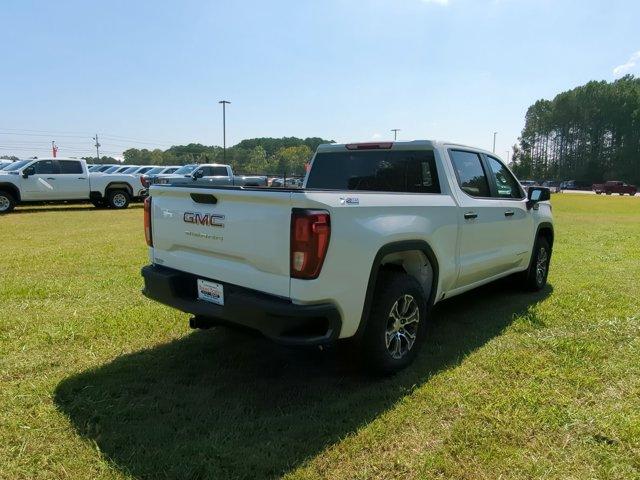 2024 GMC Sierra 1500 Vehicle Photo in ALBERTVILLE, AL 35950-0246