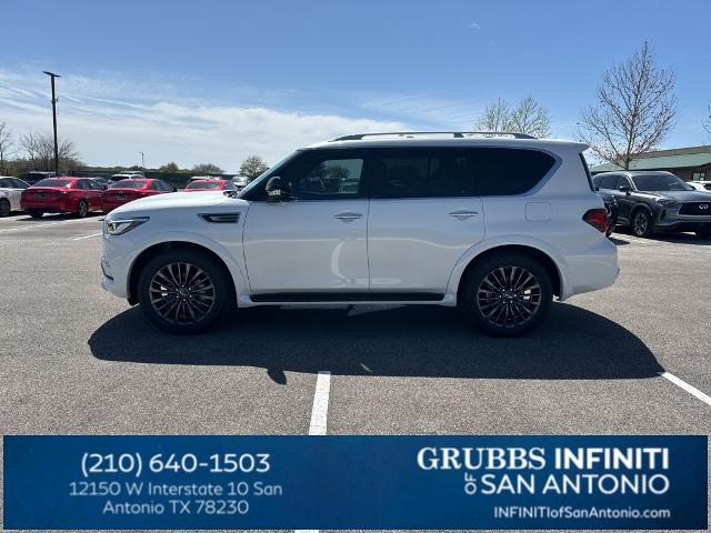 2024 INFINITI QX80 Vehicle Photo in San Antonio, TX 78230