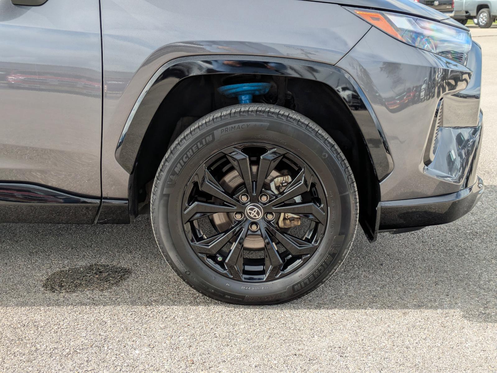 2022 Toyota RAV4 Vehicle Photo in Seguin, TX 78155