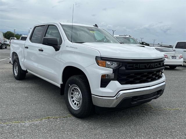 2024 Chevrolet Silverado 1500 Vehicle Photo in ALCOA, TN 37701-3235