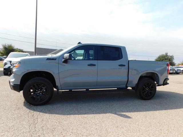 2025 Chevrolet Silverado 1500 Vehicle Photo in Weatherford, TX 76087