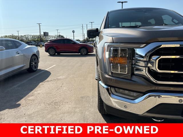 2021 Ford F-150 Vehicle Photo in Pilot Point, TX 76258