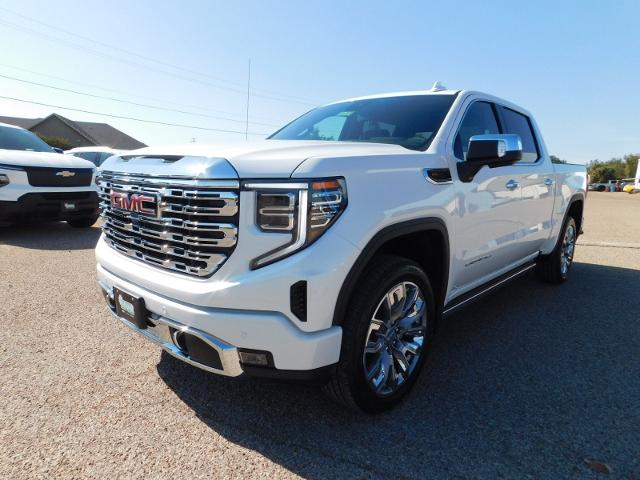 2025 GMC Sierra 1500 Vehicle Photo in GATESVILLE, TX 76528-2745