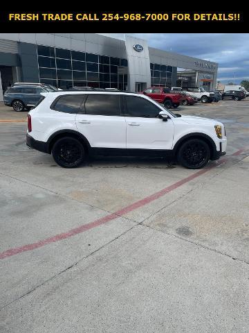 2022 Kia Telluride Vehicle Photo in STEPHENVILLE, TX 76401-3713