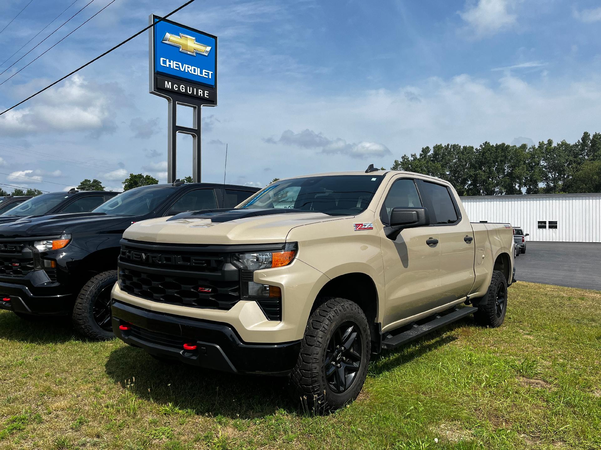 2022 Chevrolet Silverado 1500 Vehicle Photo in CLARE, MI 48617-9414