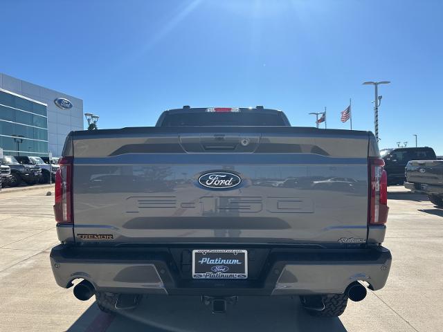 2024 Ford F-150 Vehicle Photo in Terrell, TX 75160